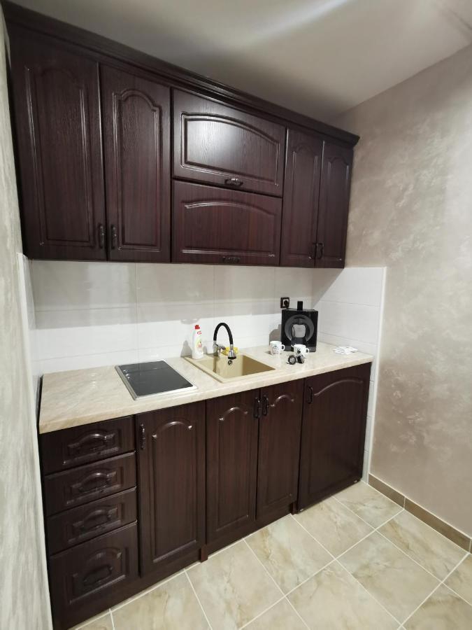 Panorama Apartman Novi Sad Exteriör bild